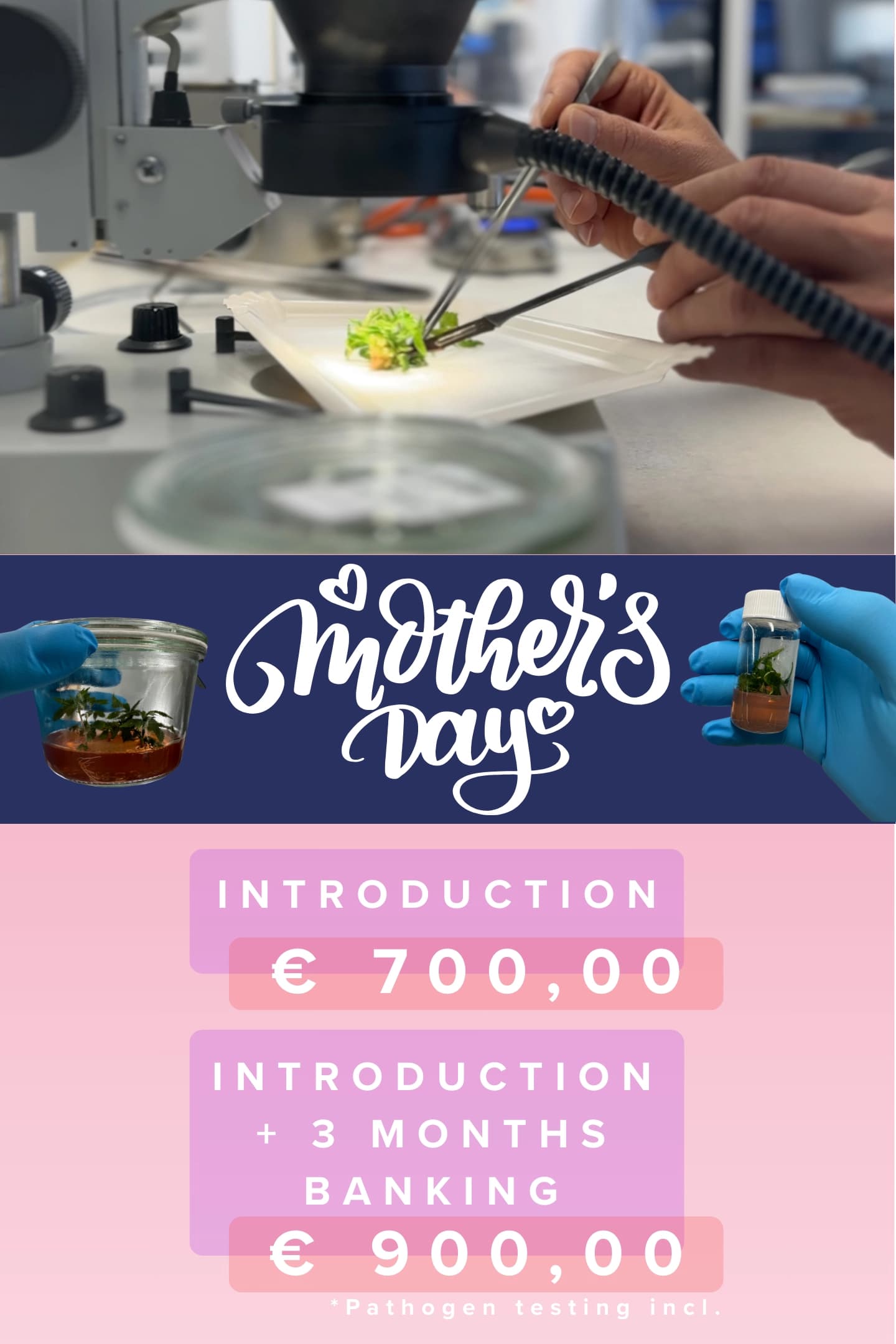 Alpine Biolabs Mother's Day Special